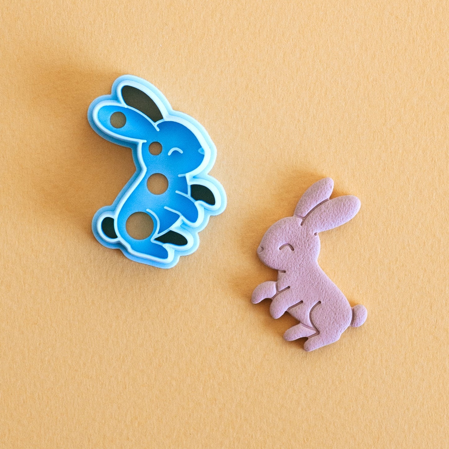 Bunny Rabbit