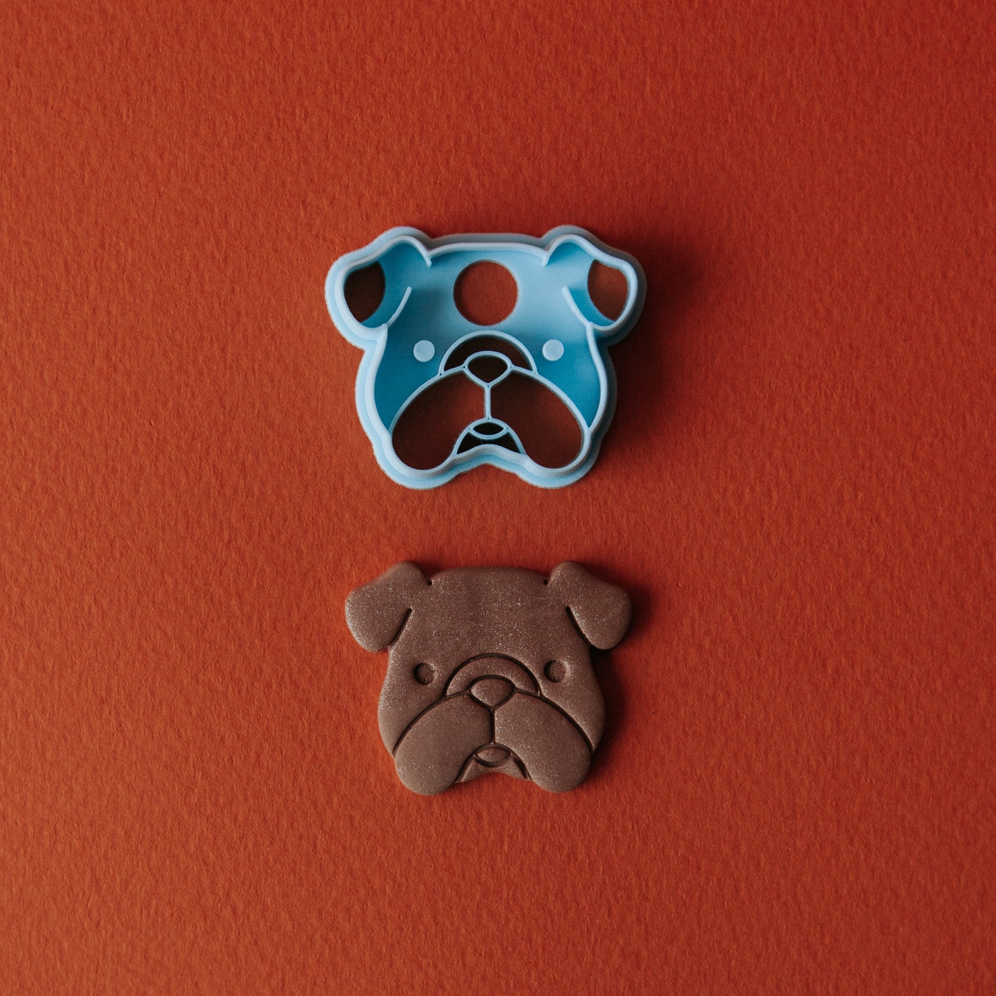 English Bulldog
