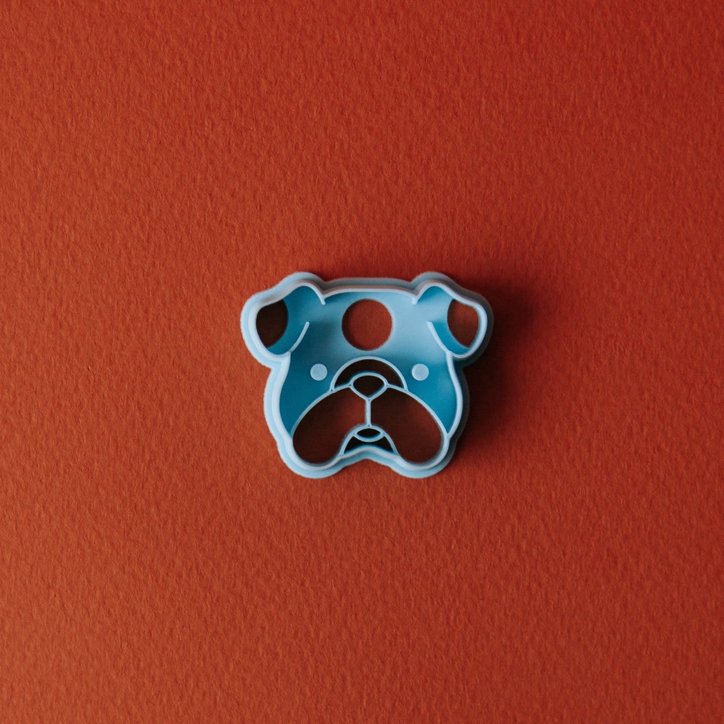 English Bulldog