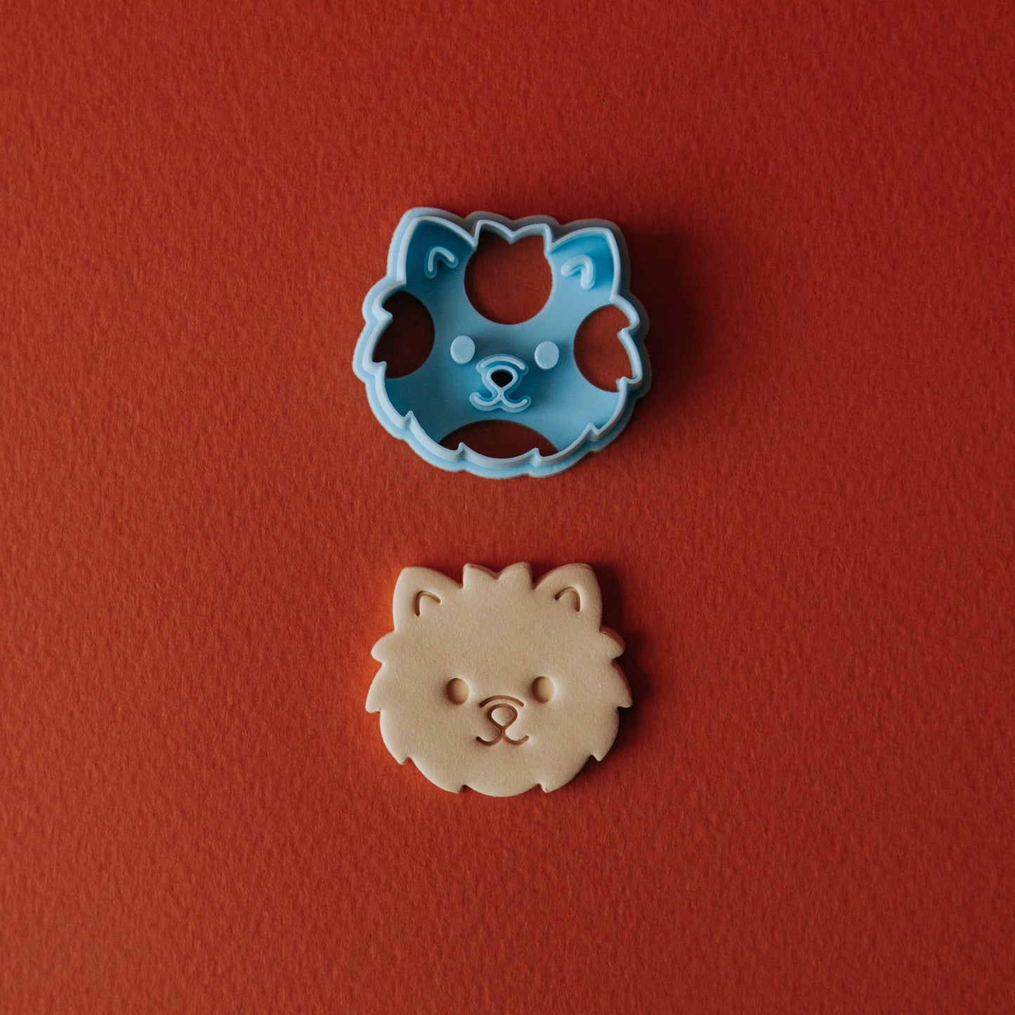 Pomeranian