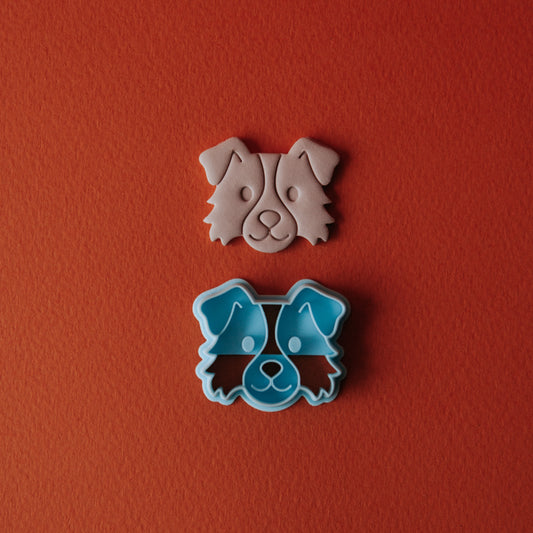 Border Collie/Australian Shepherd