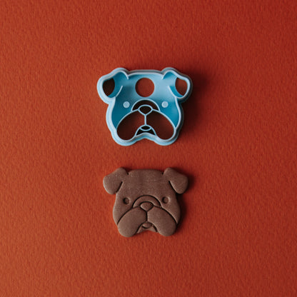 English Bulldog