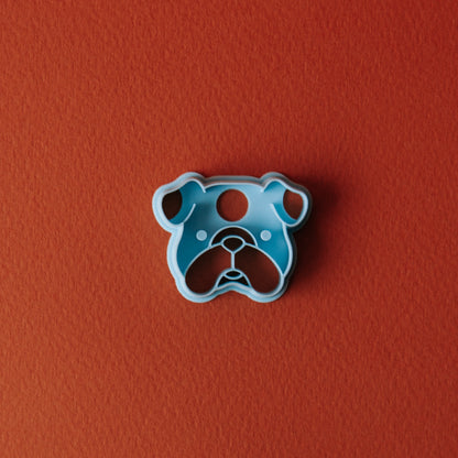 English Bulldog